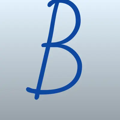 BADR, магазин бытовой химии, лого-визитка