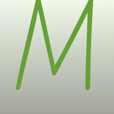 MagicTrans, транспортная компания, лого-визитка