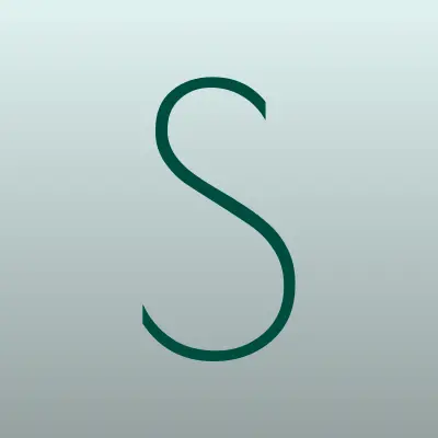 STT центр, автомагазин, лого-визитка